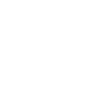 Déclinaison logo blanc
