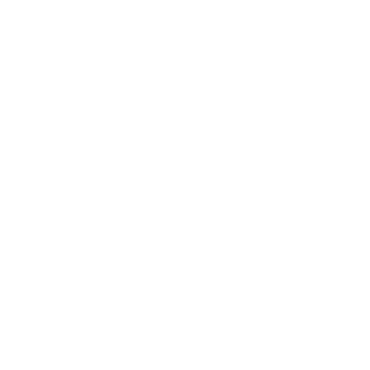 Déclinaison logo blanc